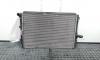 Radiator racire apa, Audi A3 (8P1) 2.0 tdi, BKD, cod 1K0121251N (id:382435)