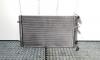 Radiator apa, Vw Bora (1J2) 1.9 tdi, AJM (id:386281)