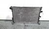 Radiator racire apa, Mercedes Clasa C T-Model (S204) 2.2 cdi, OM646811, A2045000303