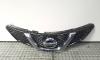 Grila bara fata centrala cu sigla, Nissan Qashqai (2) [Fabr 2013-prezent] 62312-4EA0D (id:427360)