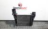 Radiator intercooler, Seat Exeo (3R2) [Fabr 2008-2013] 2.0 tdi, CAG, 8E0145805AA (id:448217)