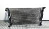 Radiator racire apa, 8E0121251L  Audi A4 (8EC, B7) 2.0 TDI, BRE (id:453869)