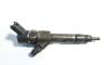 Injector, cod 8200100272, 0445110110B, Renault Laguna 2, 1.9 DCI (id:434926)