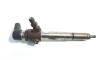 Injector, cod 8200294788, Renault Scenic 2, 1.5 DCI (id:313260)