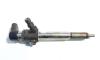 Injector, cod 8200294788, 8200842205, Renault Megane 2, 1.5 DCI, K9K732 (id:394239)