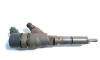 Injector, cod 9641742880, 0445110076 Peugeot 406, 2.0 hdi, RHZ (id:448074)