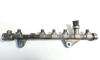 Rampa injectoare cu senzori, cod  8200750048, 0445214158, Renault Megane 2, 1.9 DCI, F9QL818 (id:395862)