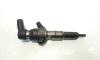 Injector, cod 9655304880, Ford Fiesta 5, 1.4 tdci, F6JA (id:464043)