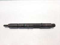 Injector, cod 059130201E, Audi A6 Allroad (4BH, C5) 2.5 tdi, AKN (id:466412)