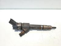 Injector, cod 8200389369, 0445110230, Renault Megane 2, 1.9 DCI, F9Q812 (pr:110747)