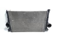 Radiator intercooler, cod 7M3145804, Seat Alhambra (7V8, 7V9) 2.0 TDI, BRT (id:470476)