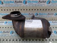 Catalizator Renault Laguna 3, 8200566701