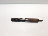 Injector, cod 8200206565, EJBR01801Z, Renault Megane 2 Coupe-Cabriolet, 1.5 DCI, K9K722 (idi:456468)