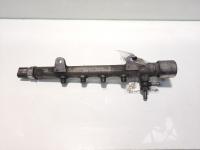 Rampa injectoare, cod A6510700595, Mercedes Clasa C (W204), 2.2 CDI, OM651911 (idi:474038)