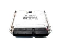 Calculator motor, cod 038906019NJ, 0281011823, Seat Ibiza 4 (6L1) 1.9 TDI, ASZ (id:483804)