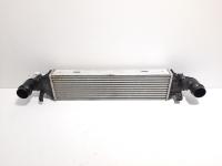 Radiator intercooler, cod A2045000200, Mercedes Clasa E (W212) 2.2 cdi, OM651924 (id:484386)