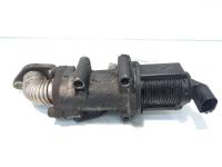 EGR, cod 50024005, Fiat Punto (188) 1.9 JTD, 188B2000 (idi:486428)