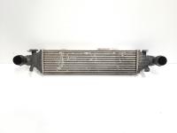 Radiator intercoooler, Mercedes, 2.2 CDI, OM646811 (idi:351938)