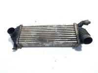 Radiator intercooler, cod 8200427469, Renault, 1.5 DCI, K9K800 (idi:506839)