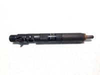 Injector Delphi, cod H8200827965, Renault Megane 3 Combi, 1.5 DCI, K9K834 (idi:507859)