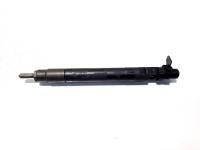 Injector, cod 9686191080, EMBR00101D, Citroen C4 Grand Picasso, 2.0 HDI, RHE (idi:516583)