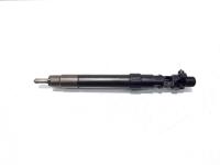 Injector, cod 9686191080, EMBR00101D, Peugeot Expert (II) Platforma, 2.0 HDI, RHH (idi:529998)