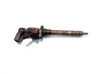 Injector, cod 9658194180, Peugeot 407, 2.0 HDI, RHR (id:533692)