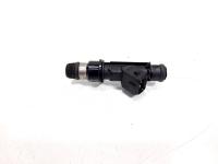 Injector, cod 25317316, Opel Combo, 1.6 benz, Z16SE (idi:531793)