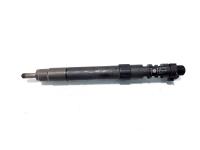 Injector, cod 9686191080, EMBR00101D, Ford Mondeo 4 Sedan, 2.0 TDCI, TXBB (idi:546672)