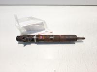 Injector Delphi, cod 2T1Q-9F593-AA, EJBR02201Z, Ford Focus 1 Sedan, 1.8 TDCI, FFDA (id:557309)