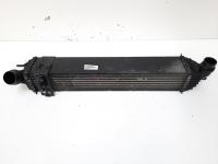 Radiator intercooler, cod 144960001R, Renault Laguna 3 Combi, 2.0 DCI, M9R802 (idi:555081)