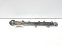 Rampa injector cu senzori, cod 7787164, Bmw 3 Cabriolet (E93) 2.0 diesel, 204D4 (idi:557561)