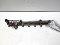 Rampa injectoare cu senzori, cod A6510700495, Mercedes Clasa CLA Shooting Brake (X117), 2.2 CDI, OM651930 (idi:568241)
