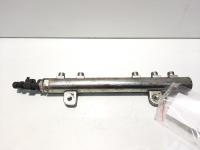 Rampa injectoare cu senzori, cod 55211908, 0445214141, Opel Astra H Combi, 1.3 CDTI, Z13DTH (idi:574795)