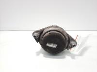 Tampon motor, cod A2042400317, Mercedes Clasa C (W204), 2.2 CDI, OM651911 (pr:110747)