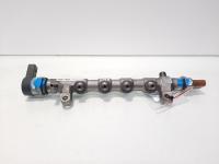 Rampa injectoare cu senzori, cod 03L130089Q, Audi A4 Allroad (8KH, B8), 2.0 TDI, CGL (idi:585062)