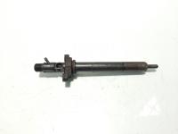 Injector Delphi, cod 9656389980, EJBR03801D, Peugeot 407 SW, 2.0 HDI, RHR (id:595723)