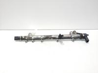 Rampa injectoare cu senzori, cod A6460700295, 0445214073, Mercedes Clasa C T-Model (S203) 2.2 CDI, OM646963 (idi:594946)