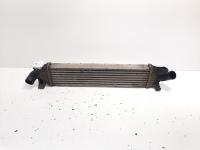 Radiator intercooler, cod 3M5H-9L440-AE, Ford Focus 2 Cabriolet, 2.0 TDCI, G6DA (idi:596161)