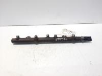 Rampa injectoare cu senzor, cod 0445214011, Land Rover Freelander Soft Top, 2.0 diesel, 204D3 (idi:619910)
