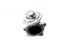 EGR, cod 038131501AN, Seat Toledo 3 (5P2), 1.9 TDI, BKC (idi:516136)