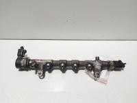 Rampa injectoare cu senzori, cod 03L130089Q, Audi A4 Allroad (8KH, B8) 2.0 TDI, CGL (idi:630252)