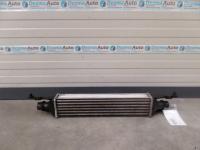 Radiator intercooler 440926702, Opel Corsa D, 1.3cdti (id:195739)