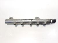 Rampa injectoare, cod 55197370, Opel Vectra C, 1.9 CDTI, Z19DT (idi:365373)