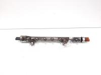 Rampa injectoare cu senzori, cod 03L089H, Audi A3 Sportback (8PA) 1.6 TDI, CAY (idi:530642)