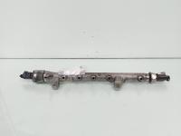 Rampa injectoare cu senzori, cod 03L125A, Skoda Octavia 2 (1Z3), 1.6 TDI, CAY (id:654511)