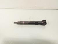 Injector, Delphi cod A6510704987, Mercedes Clasa E (W212), 2.2 CDI, OM651924 (id:640356)