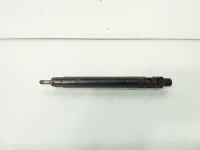 Injector, cod 9686191080, EMBR00101D, Ford Galaxy 2, 2.0 TDCI, UFWA (id:656829)