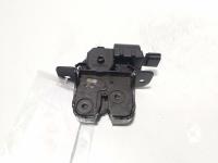 Broasca haion, cod 846300003R, Renault Grand Scenic 3 (id:660734)