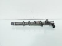 Rampa injectoare cu senzori Delphi, cod A6510700595, Mercedes Clasa E Coupe (C207) 2.2 CDI, OM651924 (idi:661683)